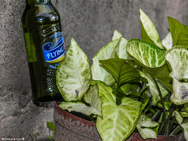 S&M Snaps Photographer - Photographer