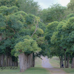 Photo n° 4 de l'avis de Stéphane.h fait le 19/08/2018 à 11:44 pour Eglise Abbatiale Saint-Florent du Mont-Glonne à Mauges-sur-Loire