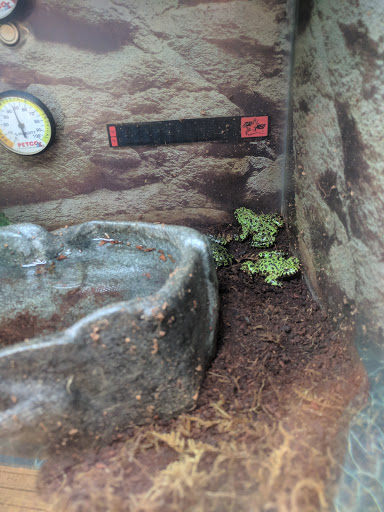 Pet Supply Store «Petco Animal Supplies», reviews and photos, 2752 Veterans Rd W, Staten Island, NY 10309, USA