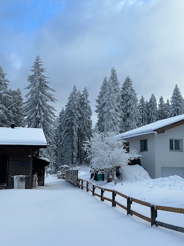 Berghotel Malixerhof - Hotel