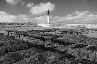 Photos du propriétaire du Restaurant Les Coquillages de l'Ile de Sein - n°1