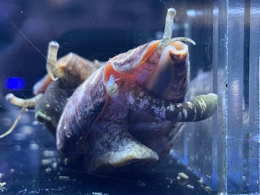 Tropical Fish Store «Tropical Pet Oasis», reviews and photos, 10218 Progress Ln, Parker, CO 80134, USA