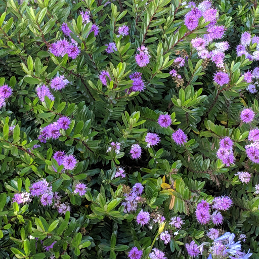 Grocery Store «Grocery Outlet Bargain Market», reviews and photos, 625 Commercial St, Eureka, CA 95501, USA