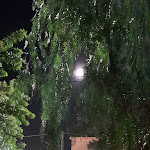 Photo n°2 de l'avis de manudisi. fait le 02/11/2023 à 20:13 sur le  Ristorante Il Vecchio Podere à Capaccio Paestum