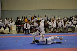 NOSA DOJO - New Orleans Shotokan Academy image