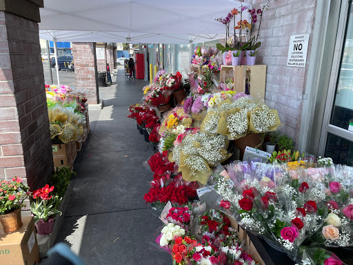 Grocery Store «Northgate Gonzalez Markets», reviews and photos, 2120 Pacific Ave, Long Beach, CA 90806, USA