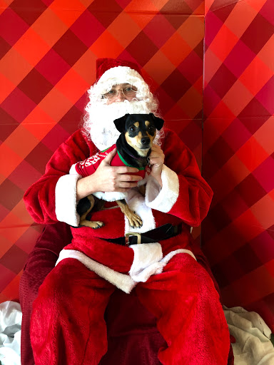 Pet Supply Store «Petco Animal Supplies», reviews and photos, 30697 US Hwy 19 N, Palm Harbor, FL 34684, USA