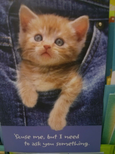 Grocery Store «Stop & Shop», reviews and photos, 32 Lyman St, Westborough, MA 01581, USA