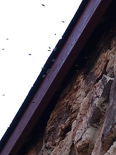 Self-Storage Facility «Security Self Storage», reviews and photos, 219 Walnut St, Napa, CA 94559, USA