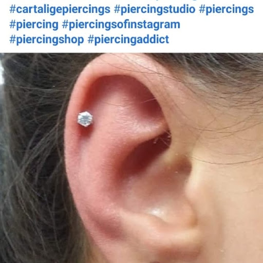 Find simple tree tattoo ideas for your next unique tattoo in Hialeah at Allstar Tattoo & Body piercing