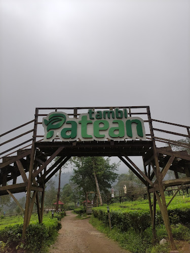 Wisata Alam Patean Tambi