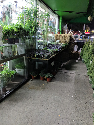 Florist «Metropolitan Plant & Flower», reviews and photos, 840 NJ-17, Paramus, NJ 07652, USA