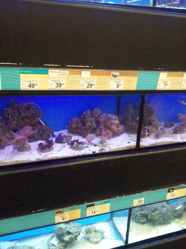 Pet Supply Store «Petco Animal Supplies», reviews and photos, 25 Hazard Ave, Enfield, CT 06082, USA