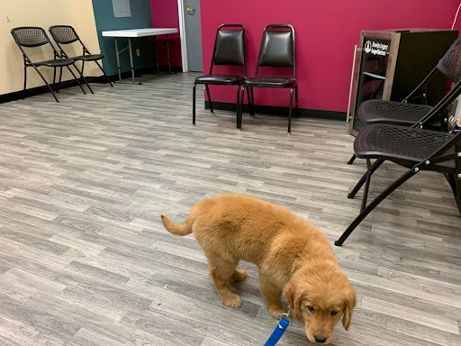 Wildcat Valley Animal Clinic, Inc. image