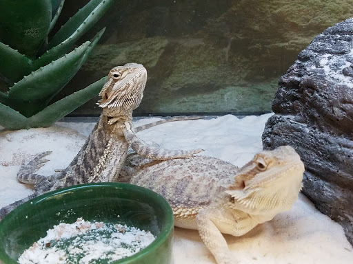 Pet Supply Store «Petco Animal Supplies», reviews and photos, 10 Sylvan St, Peabody, MA 01960, USA