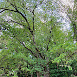 Photo n° 5 de l'avis de Annemaaike.a fait le 19/07/2023 à 15:38 pour Raft'Morvan à Saint-Martin-du-Puy