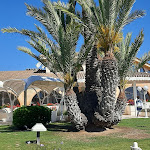 Photo n°1 de l'avis de Pascal.a fait le 14/05/2024 à 05:50 sur le  Hotel Baia di Nora à Nora