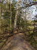 Finwood Forest Park