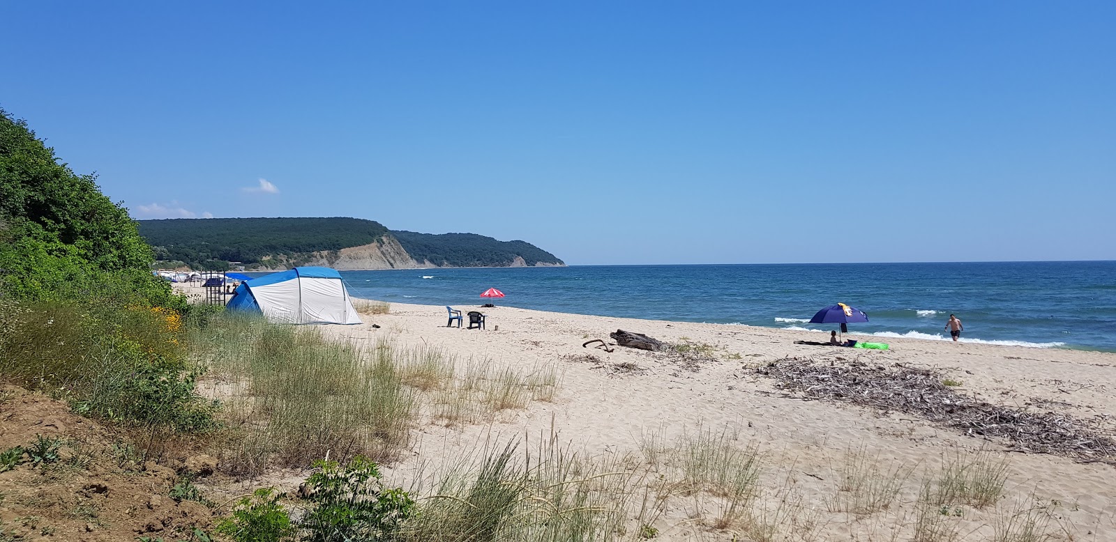 Foto di Plyazh Irakli - luogo popolare tra gli intenditori del relax