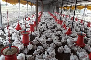 Vishal Chicken Center image