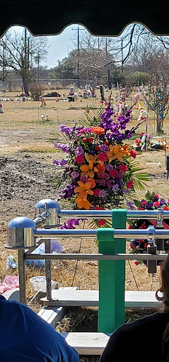 Florist «Petal Palace», reviews and photos, 15033 Nacogdoches Rd # 300, San Antonio, TX 78247, USA