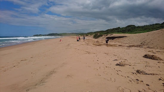 Blythedale beach