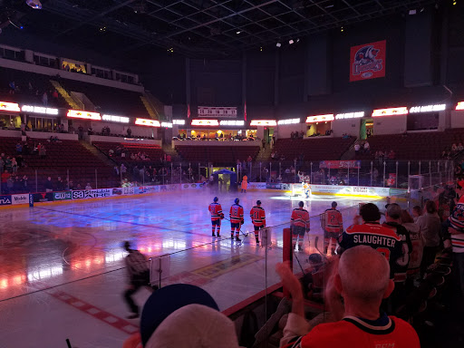 Hockey Club «Bakersfield Condors Pro Hockey», reviews and photos