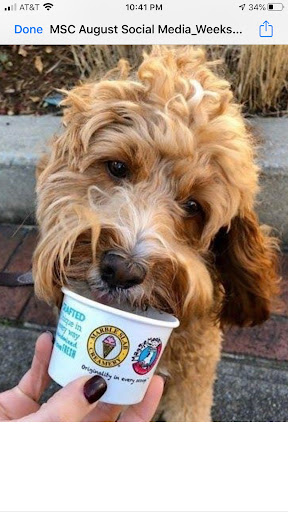 Ice Cream Shop «Marble Slab Creamery», reviews and photos, 10670 Culebra Rd #103, San Antonio, TX 78251, USA