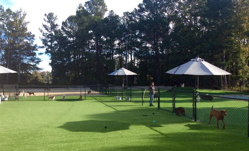 Pet Groomer «Woofers», reviews and photos, 2115 W Jody Rd, Florence, SC 29501, USA