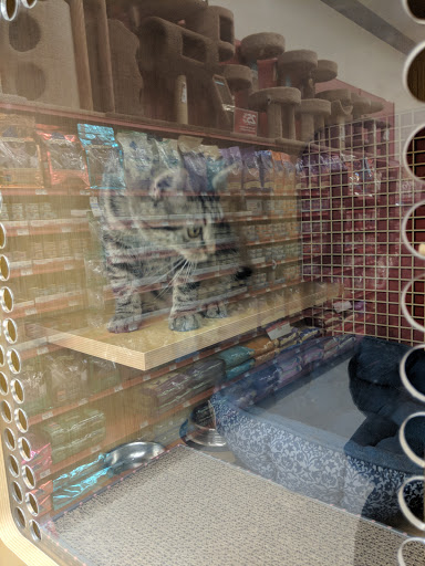 Pet Supply Store «Petco Animal Supplies», reviews and photos, 6181 Old Dobbin Ln #800, Columbia, MD 21045, USA