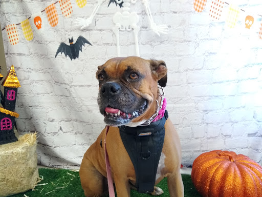 28892 Crown Valley Pkwy, Laguna Niguel, CA 92677, USA