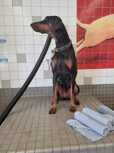 Pet Supply Store «Pet Food Express», reviews and photos, 5829 Lone Tree Way, Antioch, CA 94531, USA