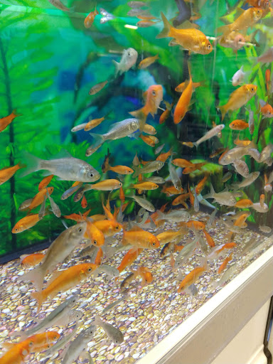 Pet Supply Store «Petco Animal Supplies», reviews and photos, 2255 East Ridge Road, Irondequoit, NY 14622, USA