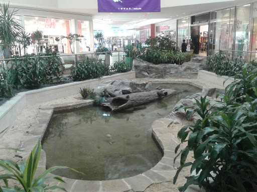 Shopping Mall «Mall St. Vincent», reviews and photos, 1133 St Vincent Ave #200, Shreveport, LA 71104, USA