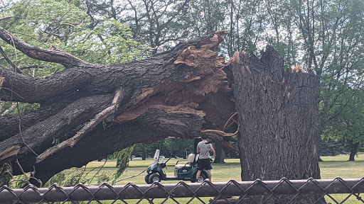 Golf Course «Sydney R. Marovitz Golf Course», reviews and photos, 3600 N Recreation Dr, Chicago, IL 60613, USA