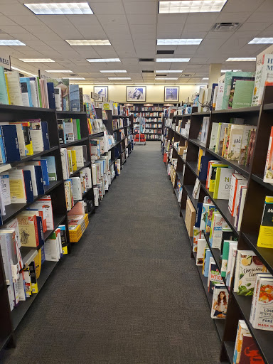 Book Store «Books-A-Million», reviews and photos, 4125 S Cleveland Ave #1200, Fort Myers, FL 33901, USA