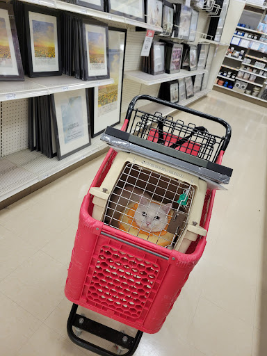 Craft Store «Michaels», reviews and photos, 8081 Turkey Lake Rd #400, Orlando, FL 32819, USA