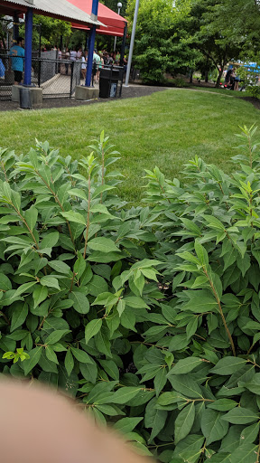 Theme Park «Action Zone», reviews and photos, 6300 Kings Island Drive, Kings Mills, OH 45034, USA