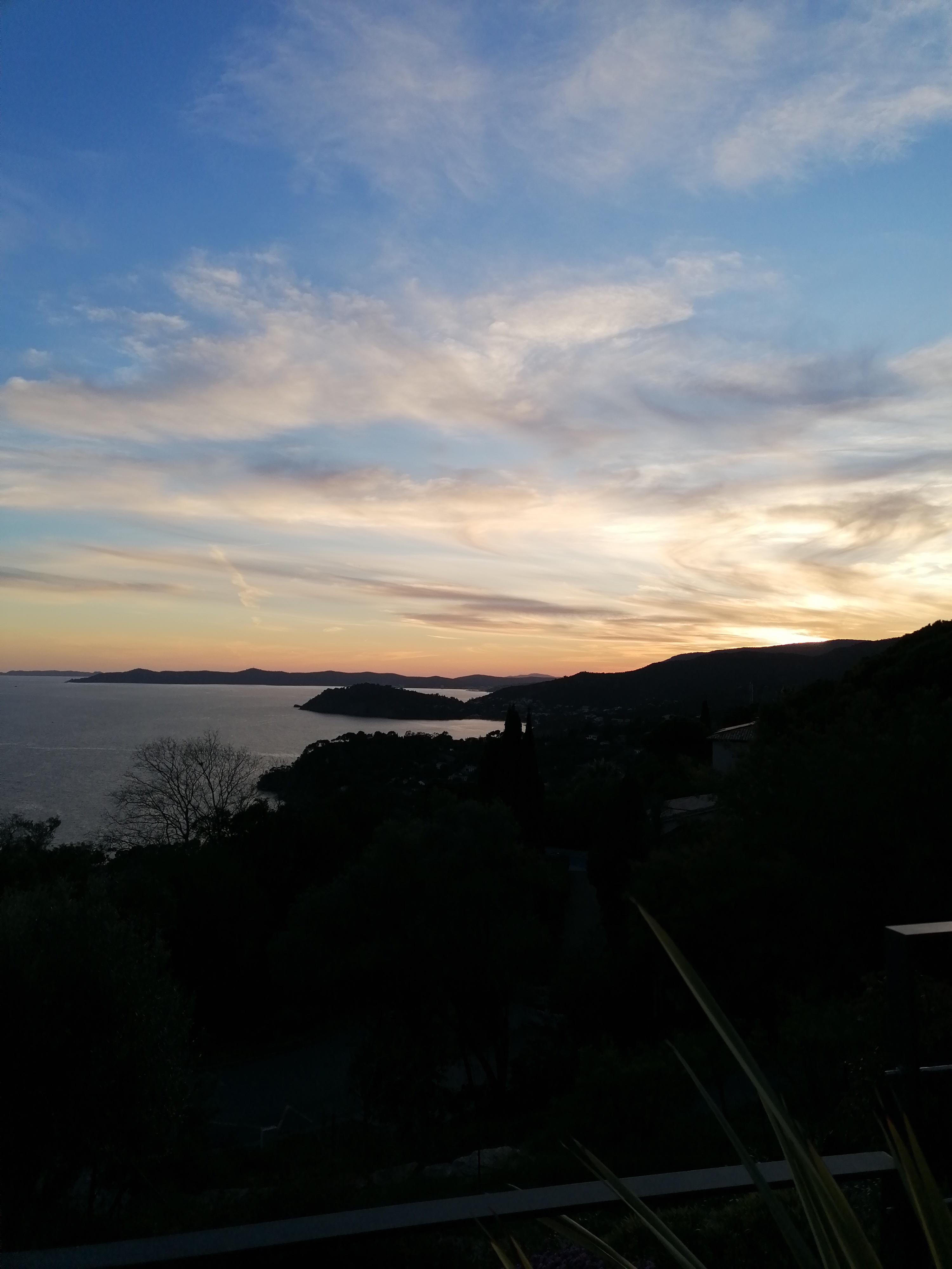 Photo n° 3 de l'avis de Cy. fait le 21/02/2022 à 18:46