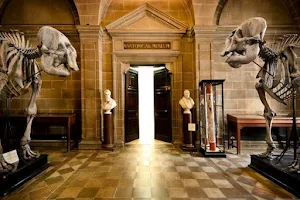 The Anatomical Museum, The University of Edinburgh image