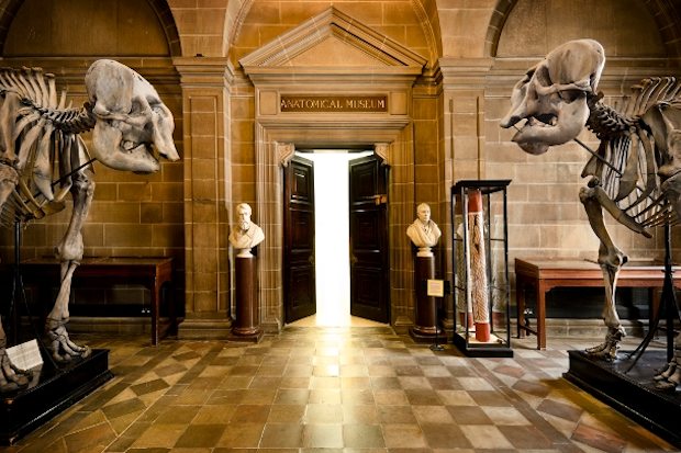 The Anatomical Museum, The University of Edinburgh