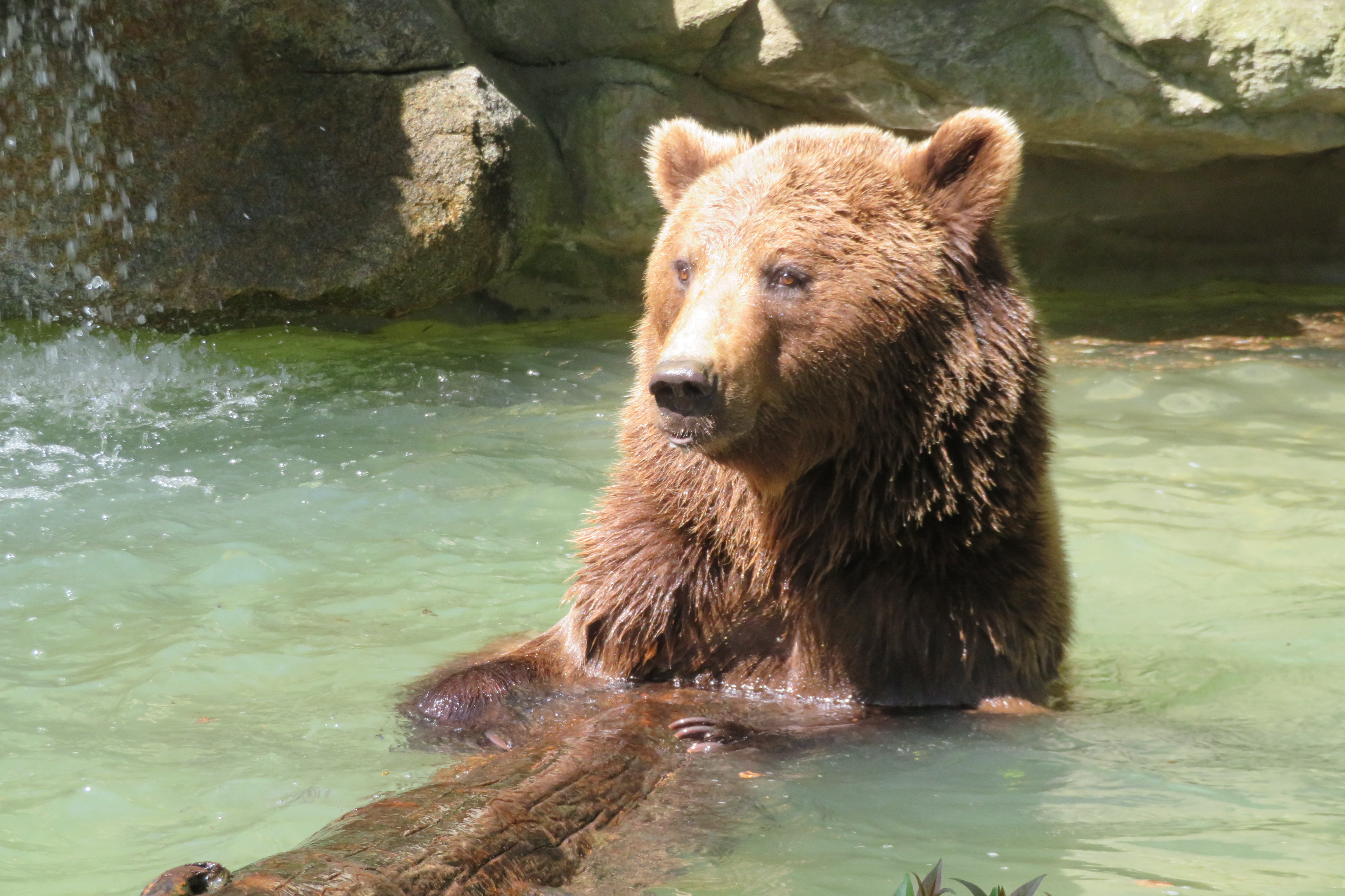 Photo n° 4 de l'avis de Pascal.E fait le 09/04/2023 à 04:13