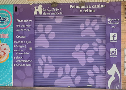 La Boutique de Tu Mascota - Servicios para mascota en Zaragoza