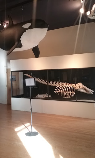 Museum «The Whale Museum», reviews and photos, 62 1st St, Friday Harbor, WA 98250, USA
