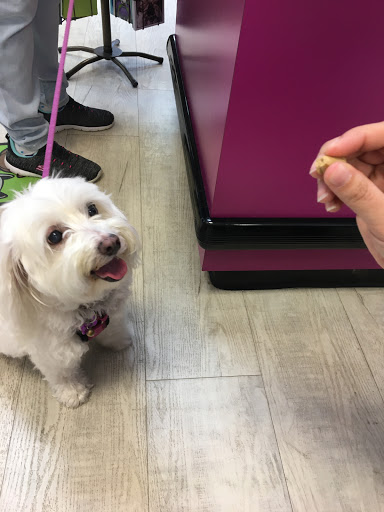 Pet Supply Store «The Pet Beastro», reviews and photos, 27637 John R Rd, Madison Heights, MI 48071, USA