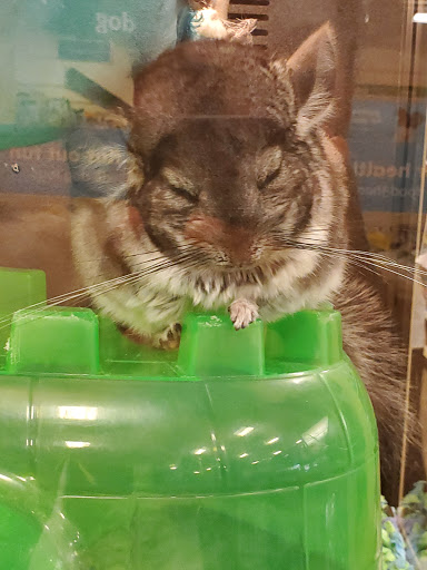 Pet Supply Store «PetSmart», reviews and photos, 170 Marketplace Blvd, Hamilton Township, NJ 08691, USA