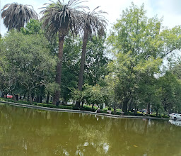 MARTIN LUTHER KING JR. photo