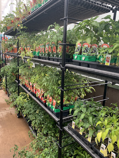 3rd Avenue Floral & Greenhouse