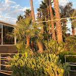 Photo n°3 de l'avis de Pino.a fait le 14/07/2022 à 13:30 sur le  Area M à Syracuse