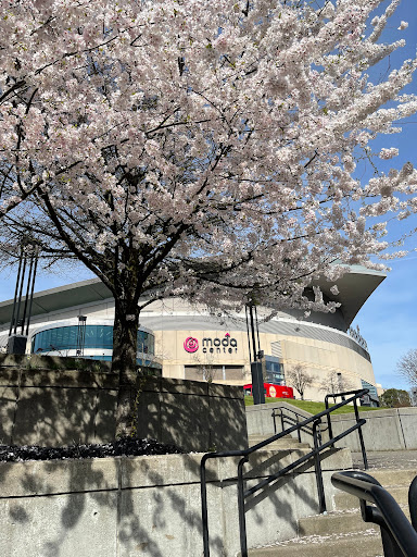 Arena «Moda Center», reviews and photos, 1 N Center Ct St, Portland, OR 97227, USA